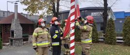 Uroczyste podniesienie flagi