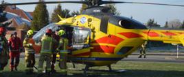 Na trwaniku stoi śmigłowiec Lotniczego Pogotowia Ratunkowego. Obok śmigłowca znajduje się 4 strażaków i 2 ratowników medycznych. Strażacy mają na sobie ubrania specjalne w kolorze piaskowym oraz czerwone i żółte hełmy. Ratownicy medyczni sa ubrani w stroje koloru czerwonego. Ułożony na noszach pacjent jest wkładany do śmigłowca. W tle drzewa i budynki. 