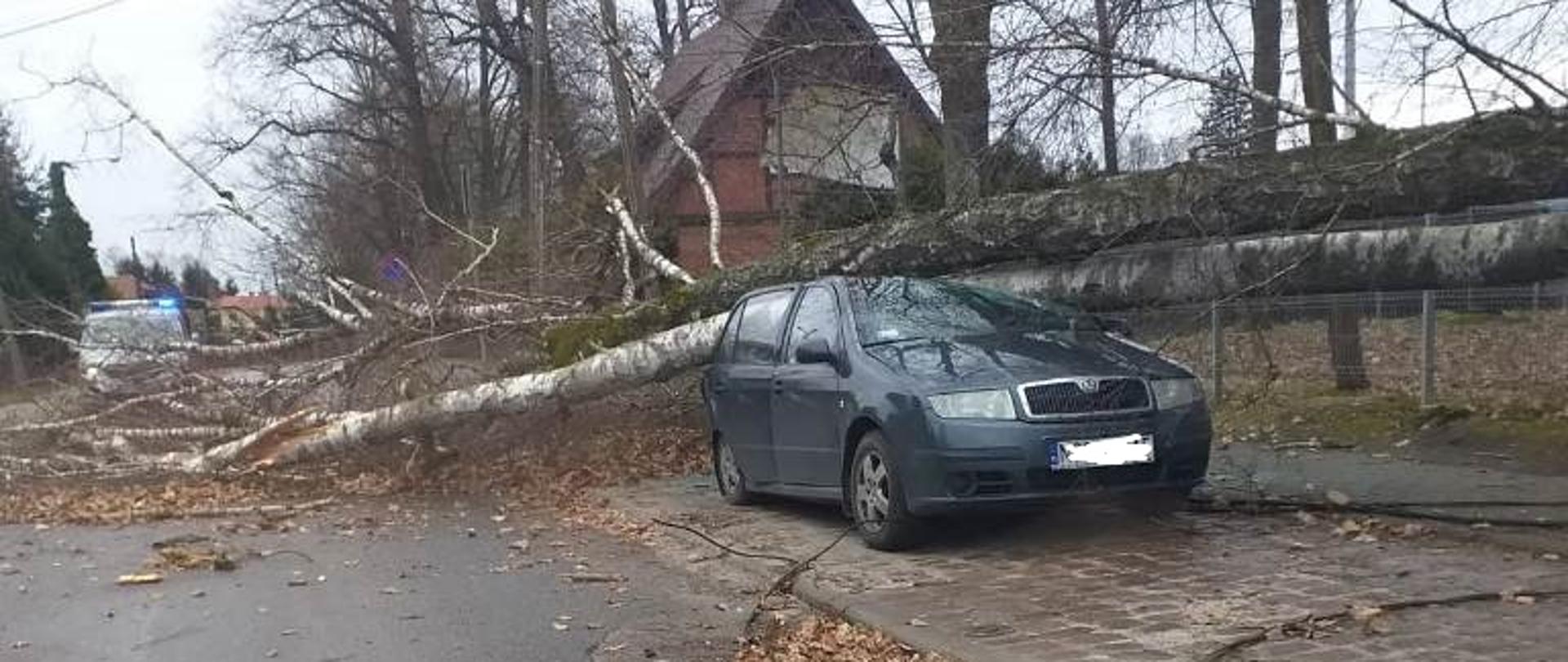Drzewo leży na samochodzie osobowym. 