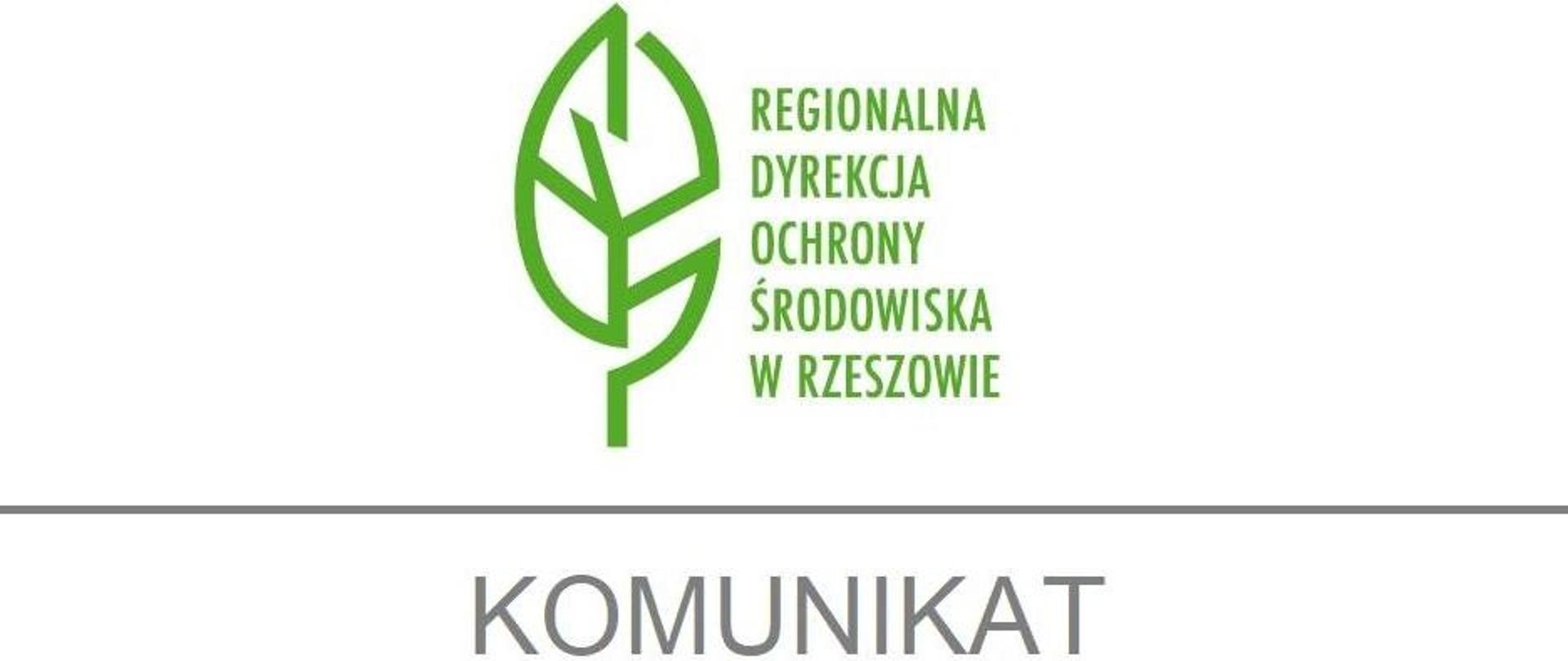 Logo Regionalnej Dyrekcji Ochrony Środowiska w Rzeszowie przedstawiające liść na białym tle