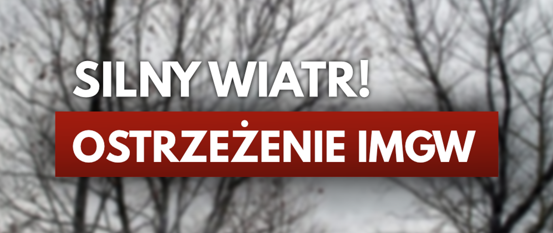 Ostrzeżenie meteorologiczne 3 stopnia - silny wiatr.
