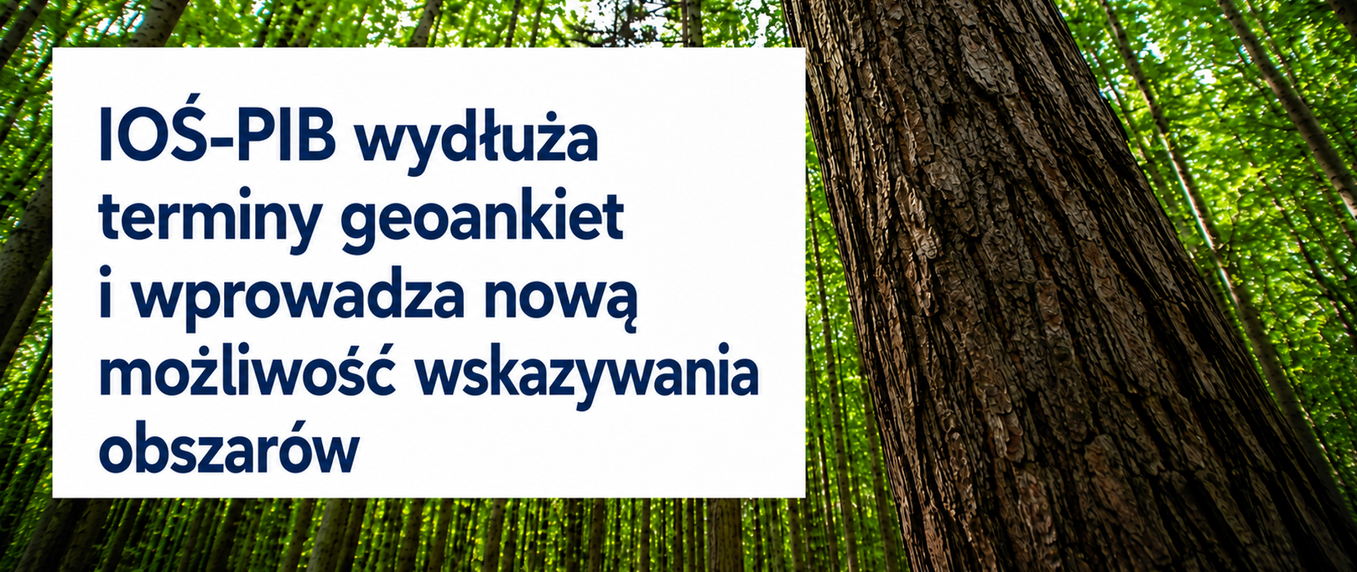 lowfs_przedłuzenie