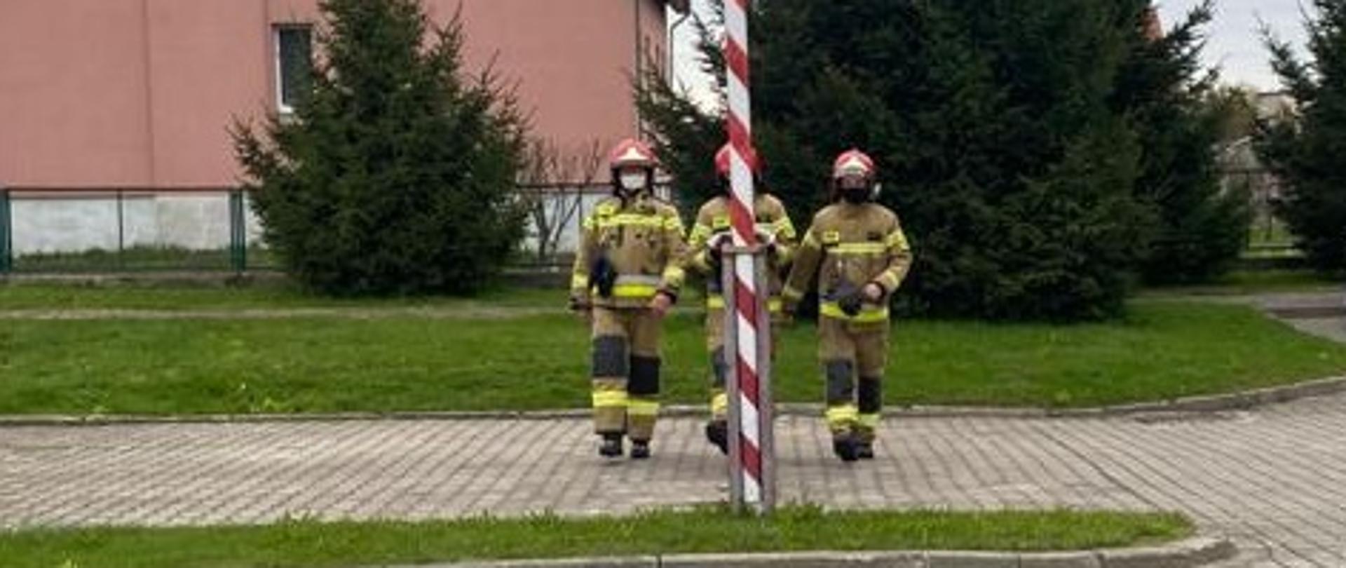 Poczet flagowy idzie w kierunku masztu celem podniesienia flagi państwowej. Za pocztem widoczny jest różowy budynek i świerki. 