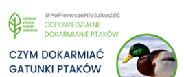 PoPierwszeNieSzkodzić – ptasie dokarmianie