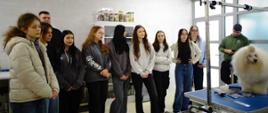 Na zdjęciu widać grupę młodzieży i jednego dorosłego mężczyznę, stojących w pomieszczeniu przypominającym salon groomerski lub salę szkoleniową [1.1]. Wszyscy ubrani są w codzienne ubrania.
Po prawej stronie znajduje się stół groomerski, na którym stoi duży, puszysty biały pudel z fantazyjną fryzurą [1.2]. Obok psa widoczne są przybory do pielęgnacji, takie jak szczotki i nożyczki [1.1].
Grupa osób stoi w półkolu, obserwując psa lub osobę poza kadrem, prawdopodobnie podczas pokazu pielęgnacji [1.1]. Tło stanowi biała ściana z szafkami i oknami. Pomieszczenie jest jasne i dobrze oświetlone.