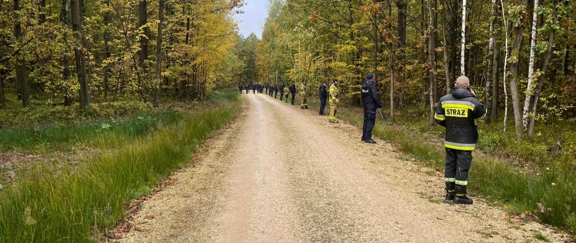 Na zdjęciu widać kilkunastu umundurowanych strażaków i policjantów, którzy znajdują się w równych odstępach od siebie. Są ustawieni wzdłuż szutrowej drogi leśnej i biorą udział w poszukiwaniach zaginionej osoby. W tle widać gęsty las.