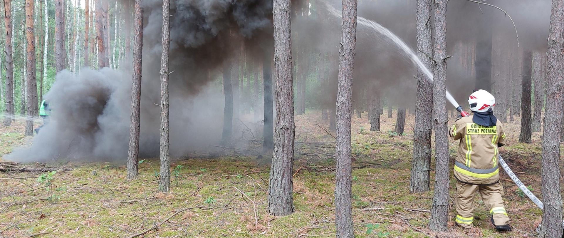 Ćwiczenia pożaru lasu w gm. Wyśmierzyce.