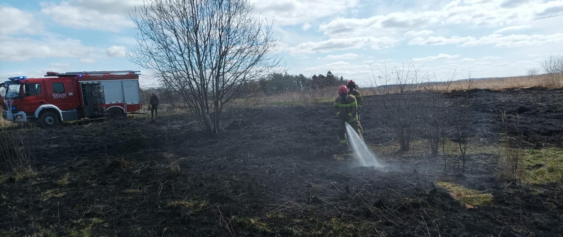 Zdjęcie przedstawia pożar trawy, który gaszą dwaj strażacy wodą. za nimi znajduje się czerwony wóż strażacki