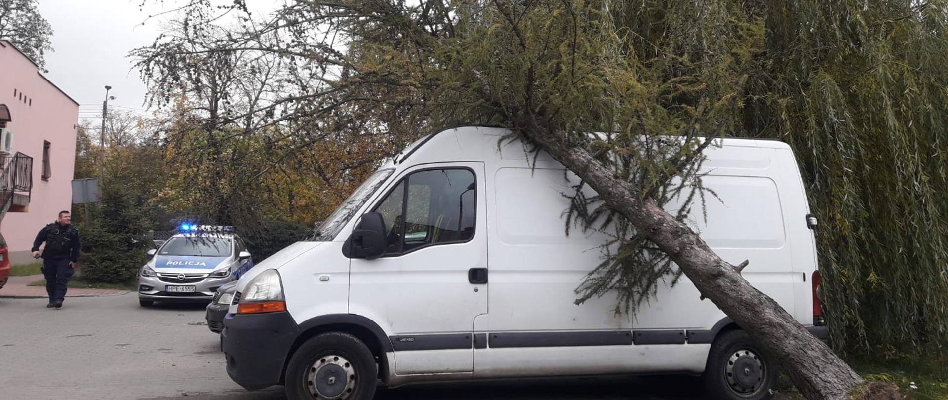 Na parkingu znajduje się powalone drzewo na samochód typu bus koloru białego. W oddali znajduje się radiowóz policyjny.