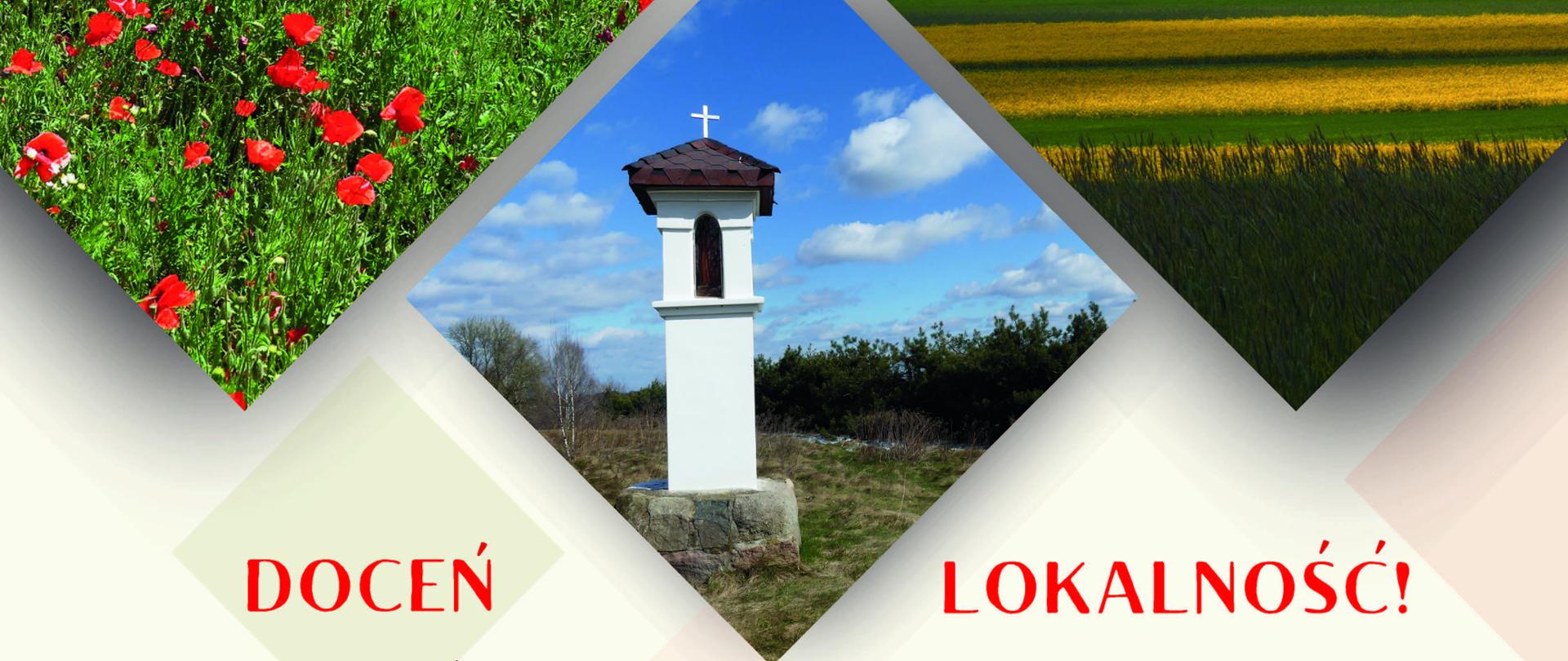 W górnej części 4 zdjęcia a na nich kolejno teren podmokły, łąka pełna czerwonych kwiatów, widok na pola, łąki i domu oraz kapliczka.
Niżej napis Doceń Lokalność Dzień Krajobrazu 20 października 2023, loga instytucji 
