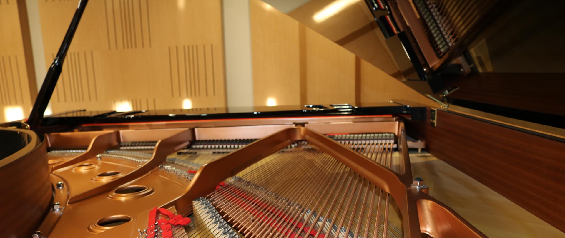 Zdjęcie ukazuje wnętrze fortepianu, ujęcie od tylnej strony.