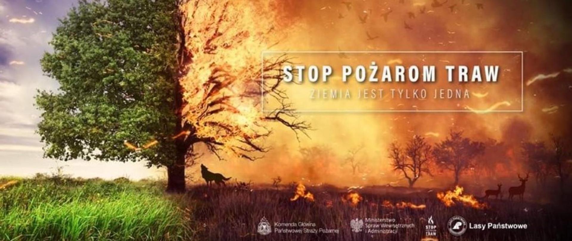 Na zdjęciu plakat obrazujący drzewo po jednej stronie zielone po drugiej objęte pożarem. Na plakacie napis Stop Pożarom Traw Ziemia jest tylko jedna.