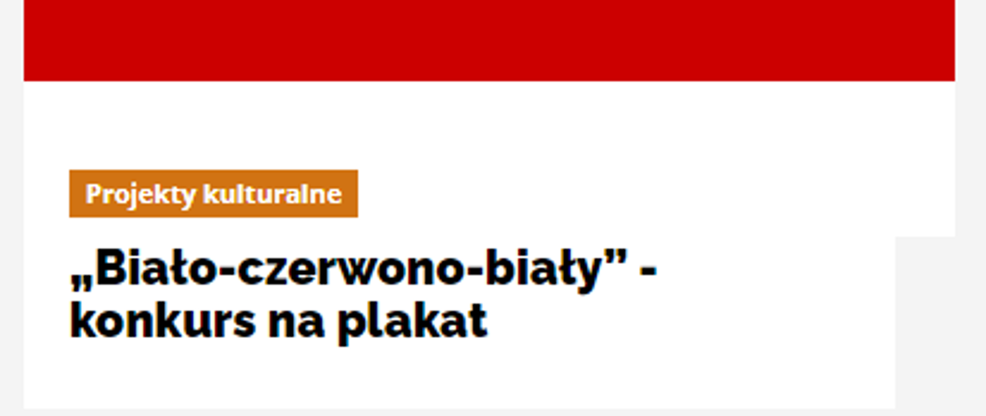 En solidaridad con el pueblo bielorruso, el Ministerio de Asuntos Exteriores de Polonia, junto con el Ministerio de Cultura y Patrimonio Nacional y el Centro Nacional de Cultura, organiza un concurso internacional de carteles bajo el título "Blanco-Rojo-Blanco"