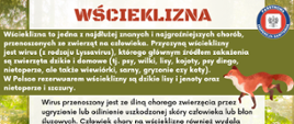 Wścieklizna 