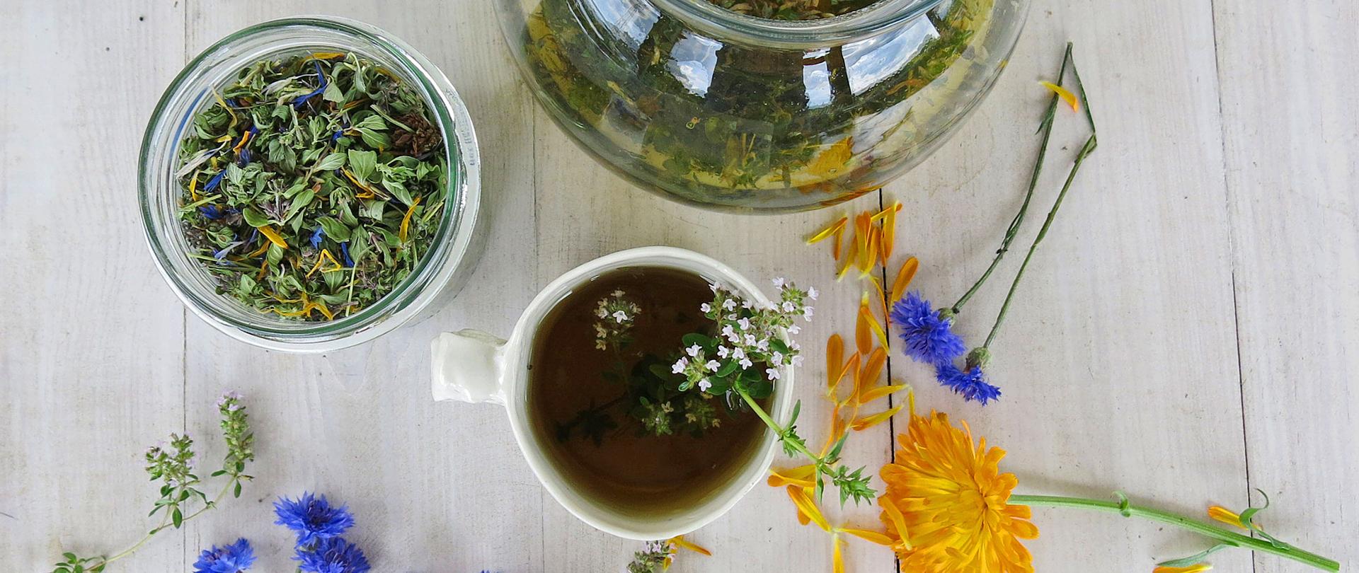 Polanka – herbatka z macierzanki