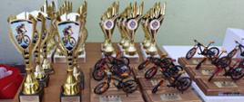 Zdjęcie przedstawia stół z nagrodami dla zwycięzców poszczególnych kategorii wyścigów MTB.