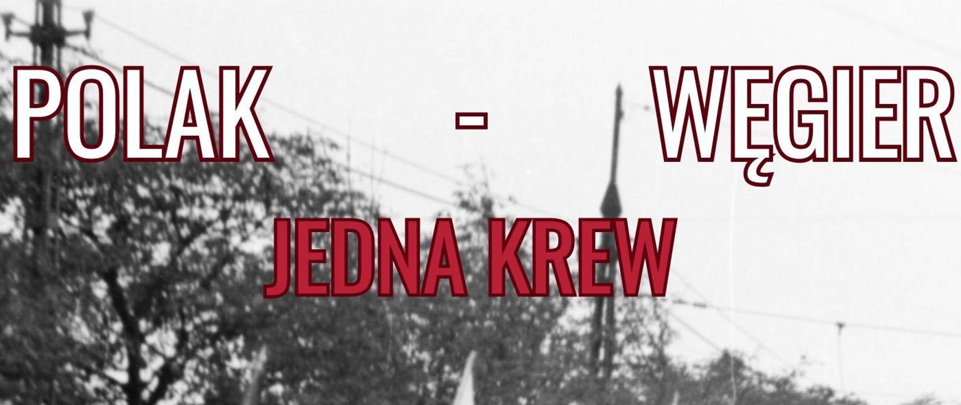 Plakat promujący akcję krwiodawstwa „Polak – Węgier, jedna krew”
