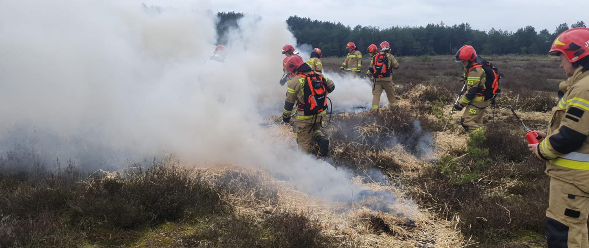 Warsztaty ratownicze grup specjalistycznych – dzień II - strażacy gaszą łakę sprzętem osobistym