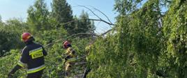 Zdjęcie przedstawia strażaków, którzy usuwają drzewo, które spadło na tory kolejowe