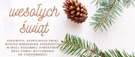 Na zdjęciu znajdują się świąteczne życzenia gałązka choinki i szyszka 