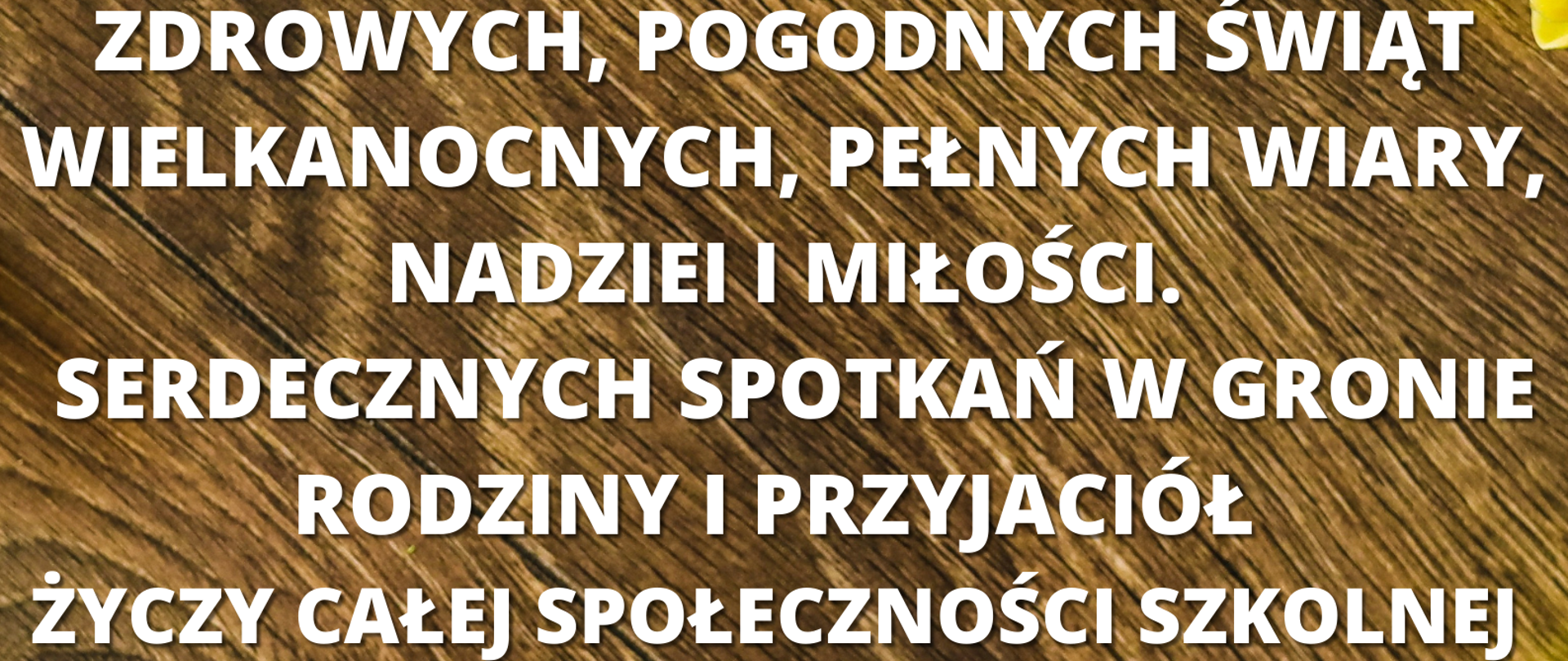 na brązowym tle imitującym drewno białymi literami życzenia z okazji świąt wielkanocnych. W tle dookoła żółte tulipany.