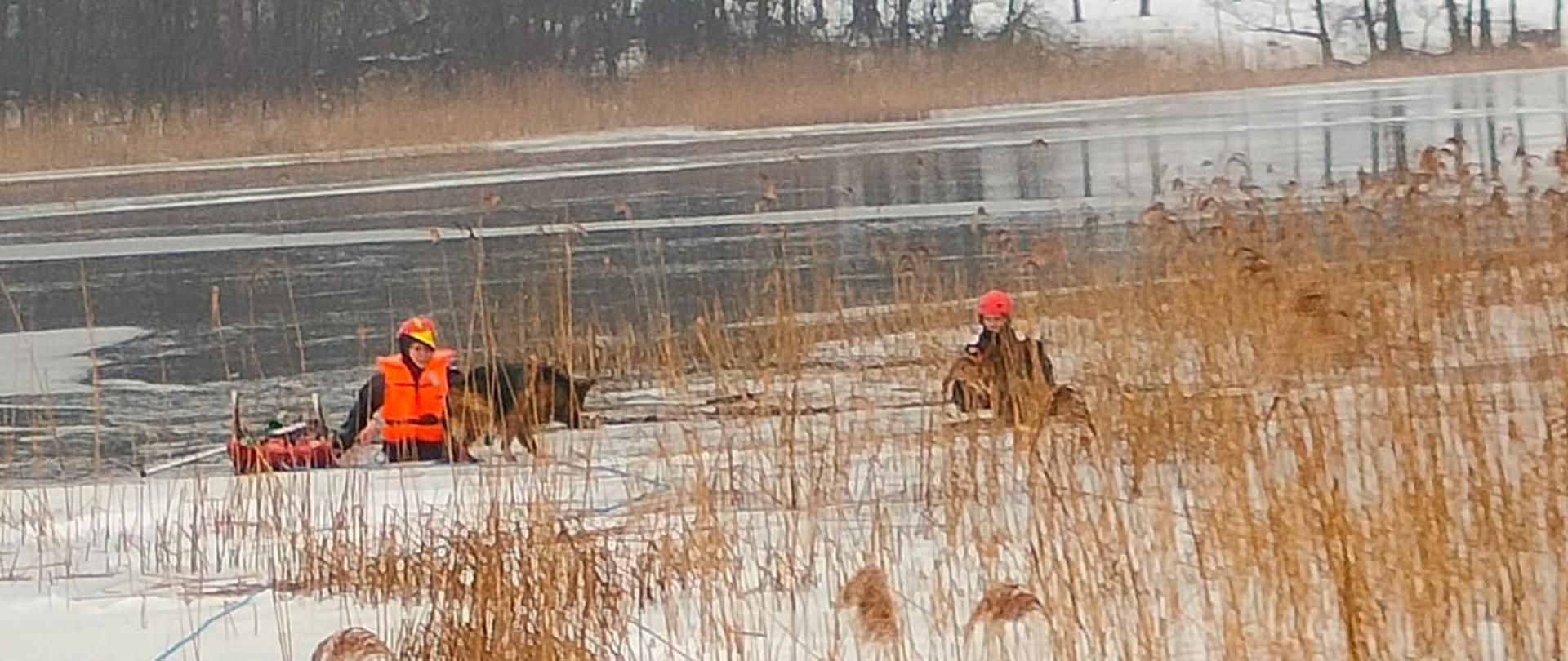 ratownicy na lodzie idą wydostać psy z załamanego pod nimi lodu