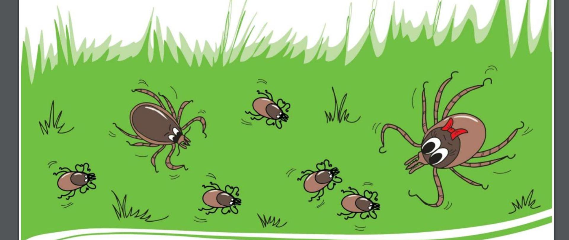 Ilustracja przedstawia kleszcze znajdujące się w trawie.