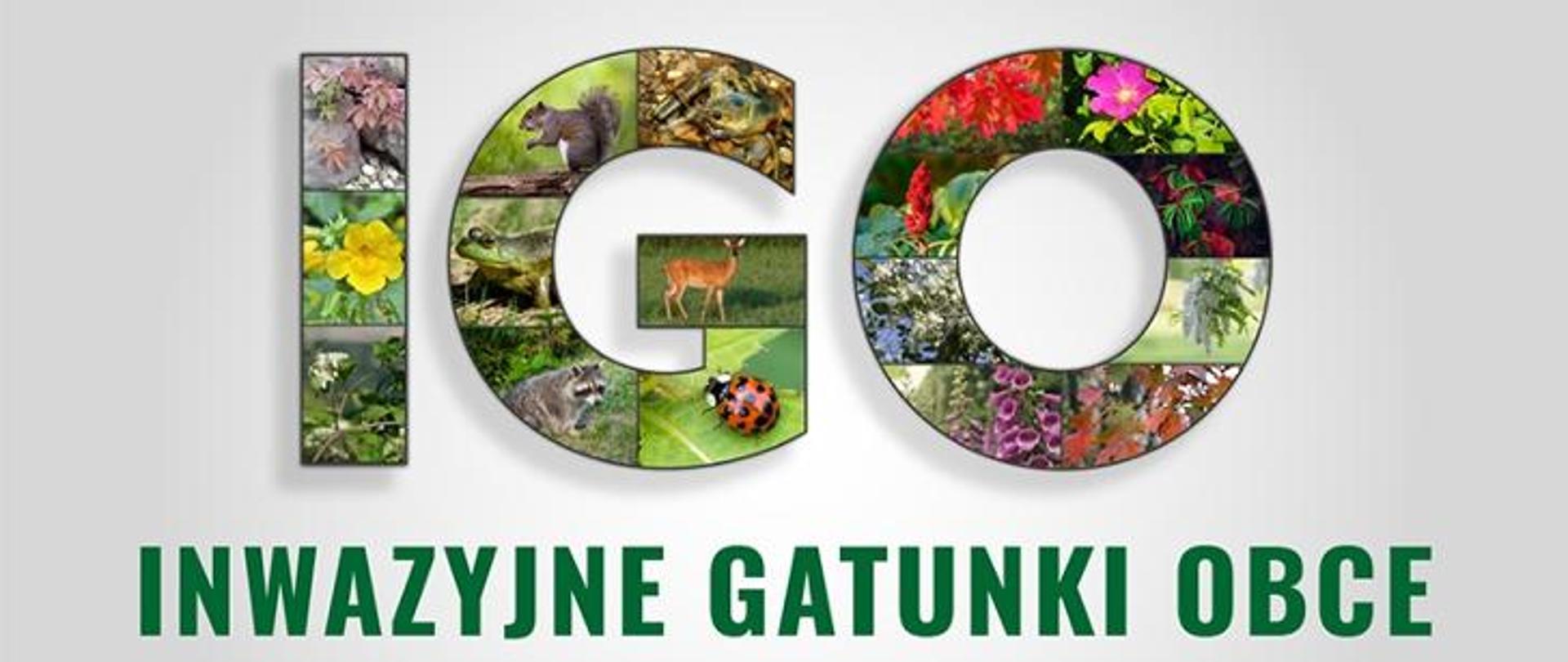 plakat, litery IGO, wewnątrz liter widoczne rośliny i zwierzęta, poniżej napis Inwazyjne Gatunki Obce 
