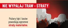 Grafika kampanii przeciw wypalaniu traw przedstawiająca pożar lasu i płonące zabudowania oraz informację o stratach materialnych spowodowanych przez pożary.