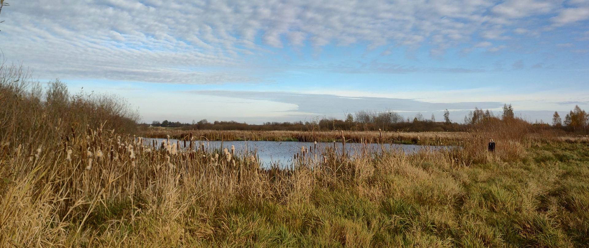 Mozaika siedlisk w rezerwacie przyrody Warzewo