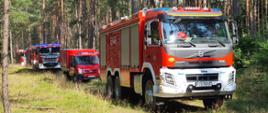 Na zdjęciu widoczne są samochody strażackie ustawione jeden za drugim na drodze leśnej.