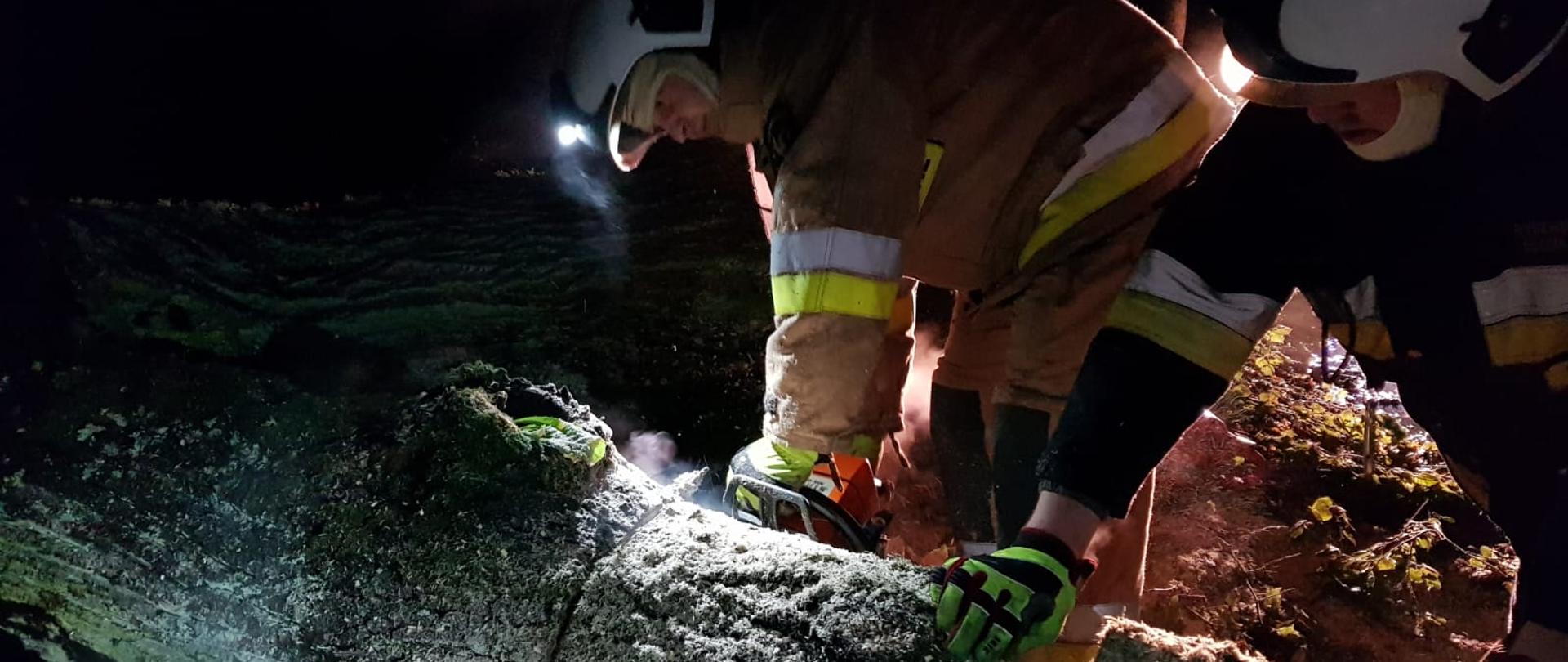 W porze nocnej strażacy usuwają powalone drzewo