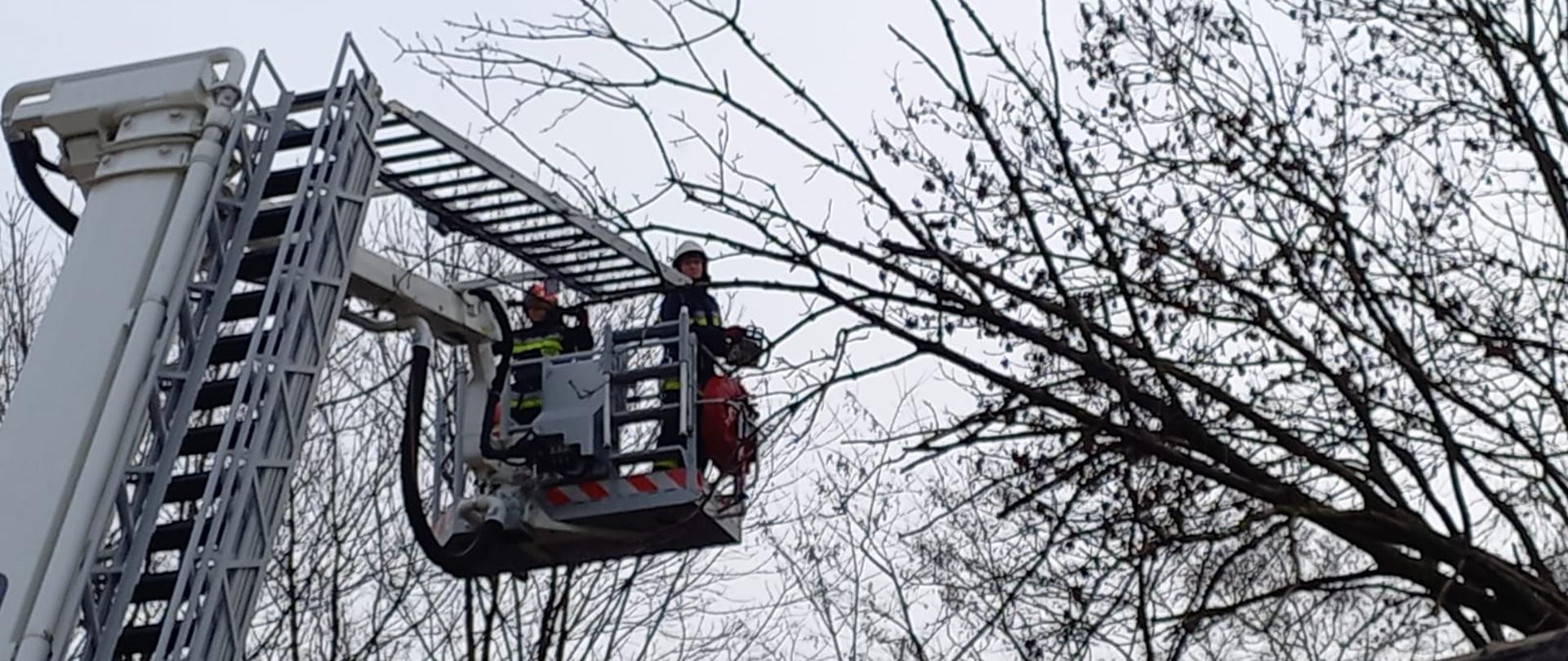 Interwencje kazimierskich strażaków związane z silnym wiatrem