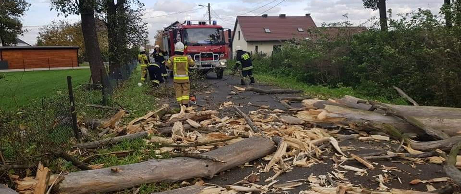 Na zdjęciu znajduje się samochód pożarniczy, kilku strażaków podczas działań oraz połamane konary znajdujące się na drodze. W tle znajduje się dom