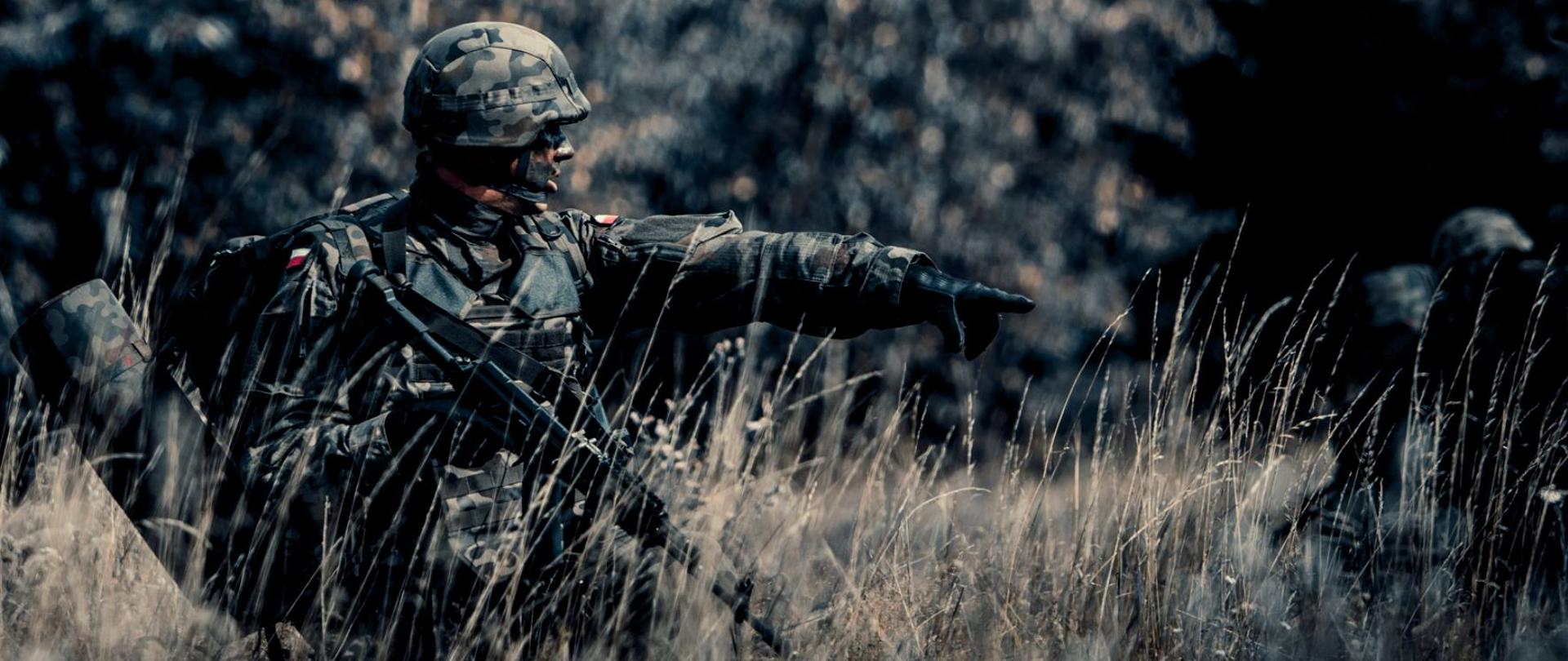 Territorial Defence Forces