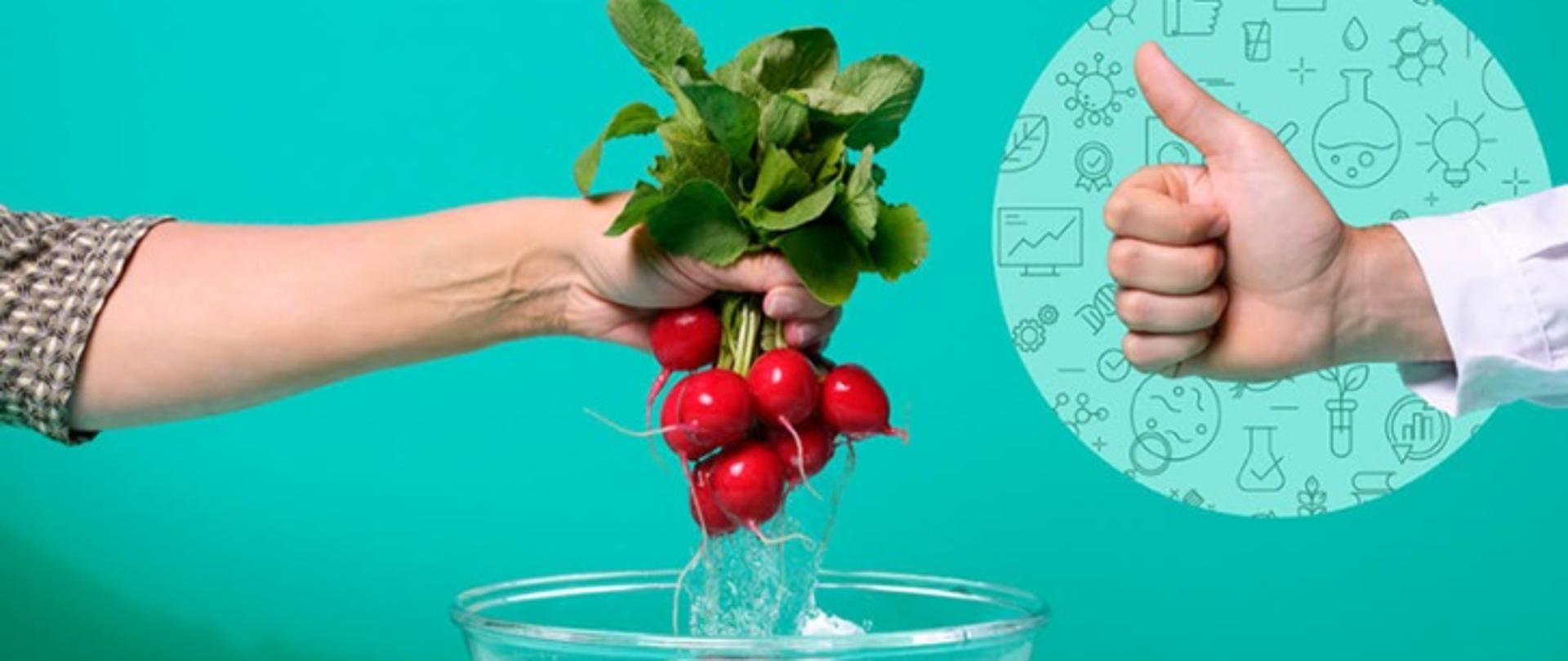 Grafika przedstawia dłoń trzymającą rzodkiewki i drugą dłoń pokazującą gest "ok"