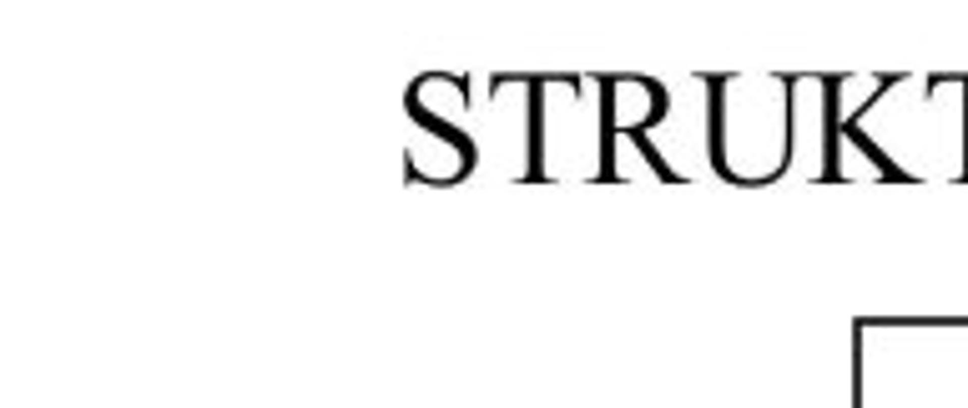 Struktura_organizacyjna_z_2025r
