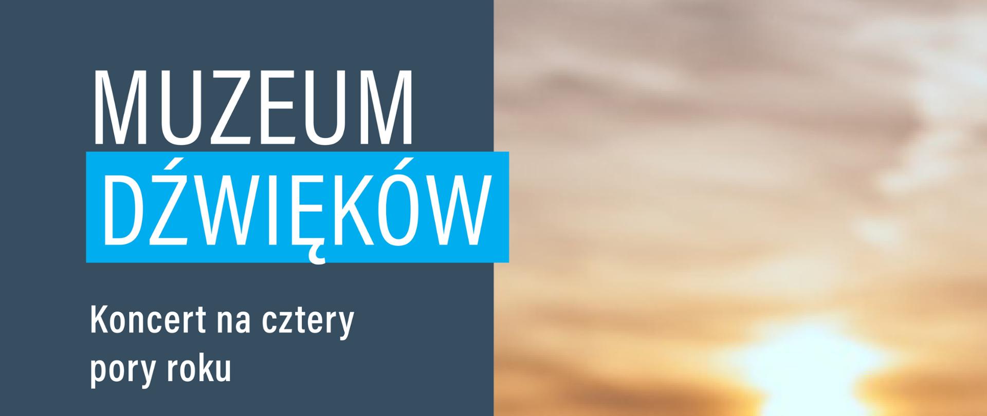 Plakat podzielony pionowo na dwie równe części. Prawą stronę wypełnia nastrojowa fotografia niebieskich chabrów i polnych traw na tle zachodzącego słońca. Z lewej, na grafitowym tle, umieszczono białe napisy: „MUZEUM DŹWIĘKÓW” (ze słowem „dźwięków” na błękitnym pasku), dopisek „Koncert na cztery pory roku LATO” oraz logo PSM w Opolu. Na dole znajdują się informacje organizacyjne: 16 czerwca 2026 r., godz. 18.00, Muzeum Diecezjalne w Opolu oraz jasnoniebieski napis „wstęp bezpłatny”.