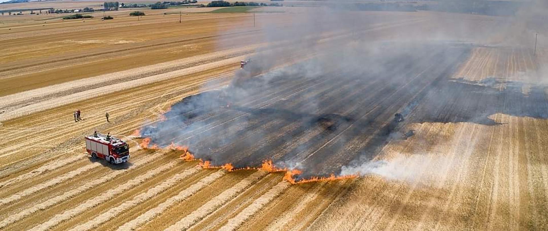 Na zdjęciu znajduje się płonące ściernisko oraz samochód pożarniczy. Zdjęcie jest zrobione z lotu ptaka