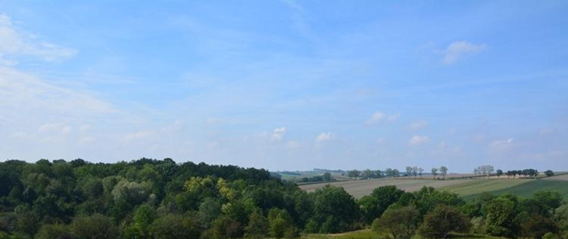 Widok na rezerwat przyrody Góra Gipsowa po wykonanym koszeniu