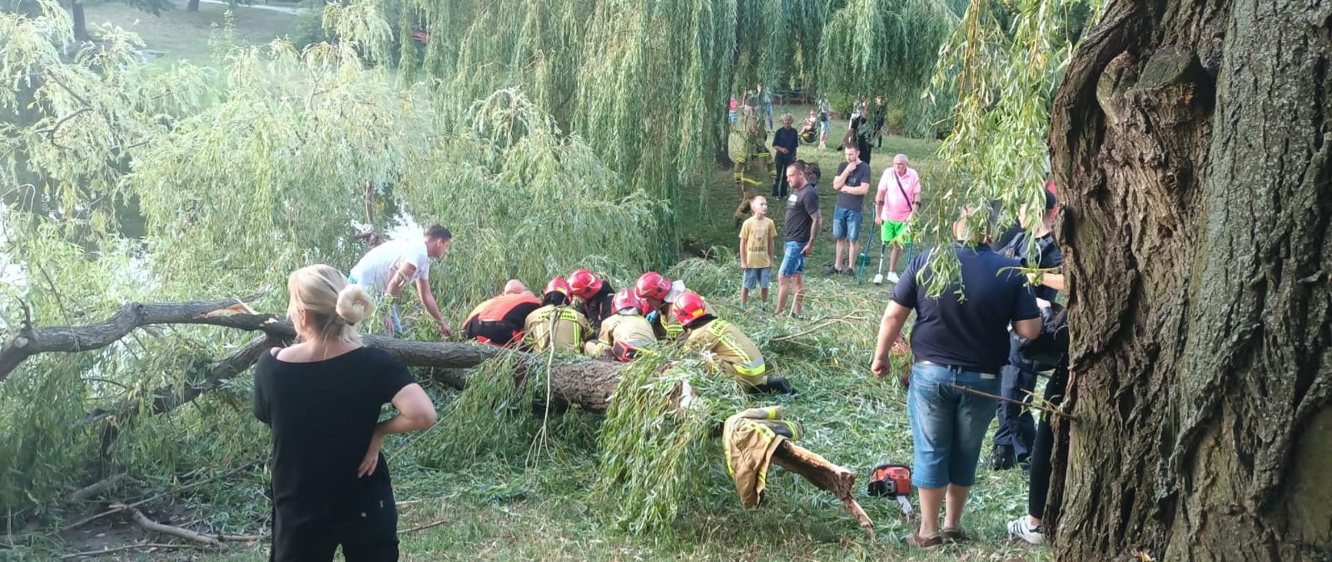 Na zdjęciu teren zielony. Zdjęcie zrobione w ciągu dnia. Widać przedstawicieli służb mundurowych.