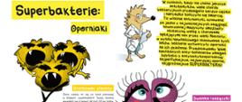 Prezentacja str. 2