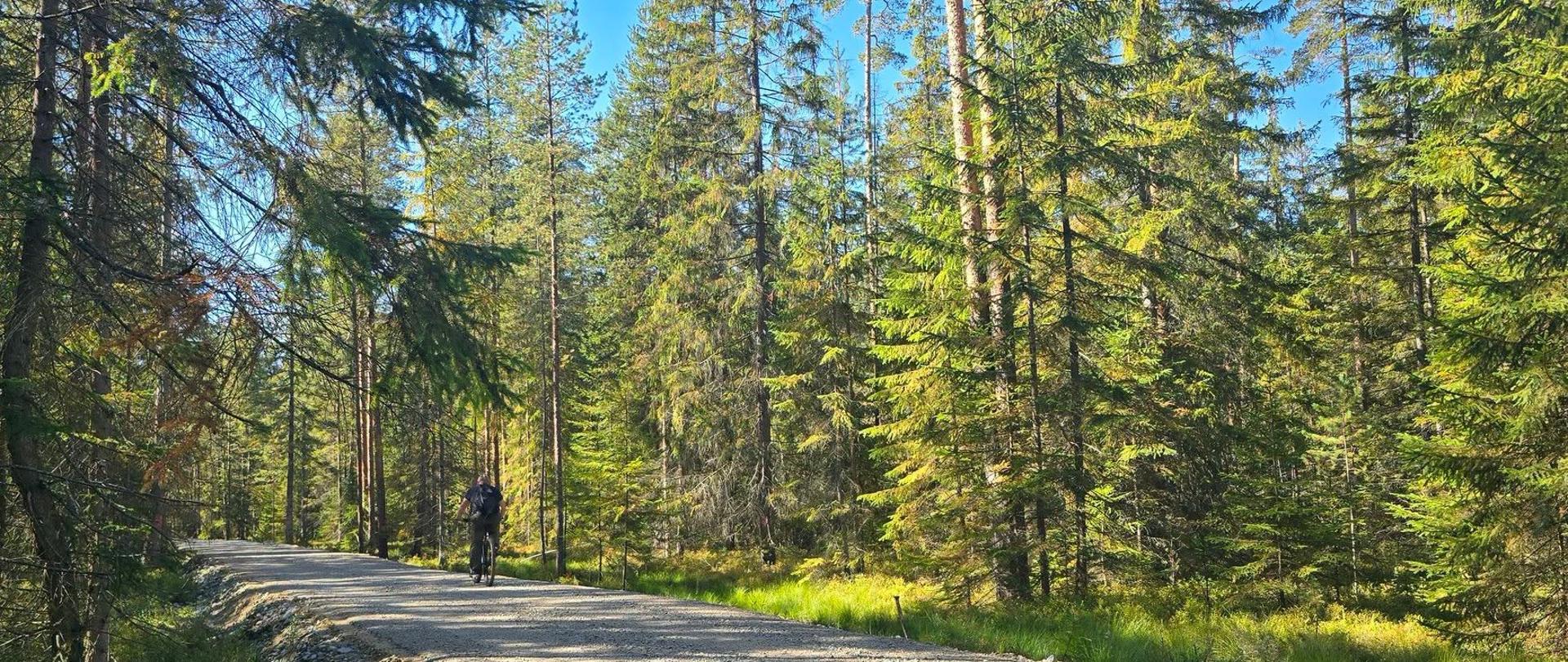 Na zdjęciu widać drogę prowadzącą przez la i jadącego nią rowerzystę