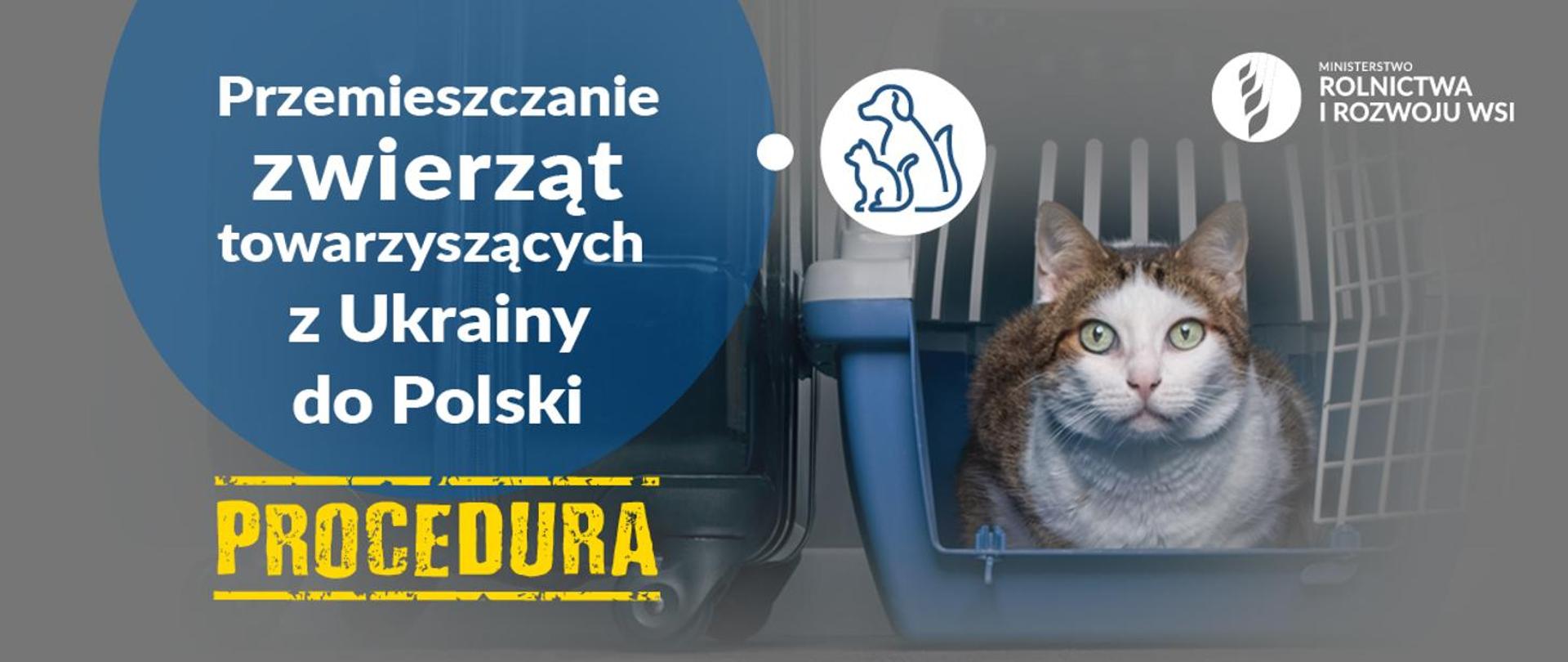 Plakat: Przemieszczanie zwierząt towarzyszących z Ukrainy do Polski.