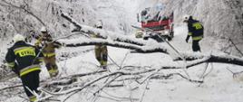 Usuwanie powalonego drzewa z drogi a wokół dużo zalegającego śniegu. Z tyłu widoczny przód samochodu pożarniczego.