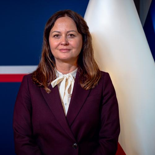 Agnieszka Miza I Wicewojewoda Dolnośląski