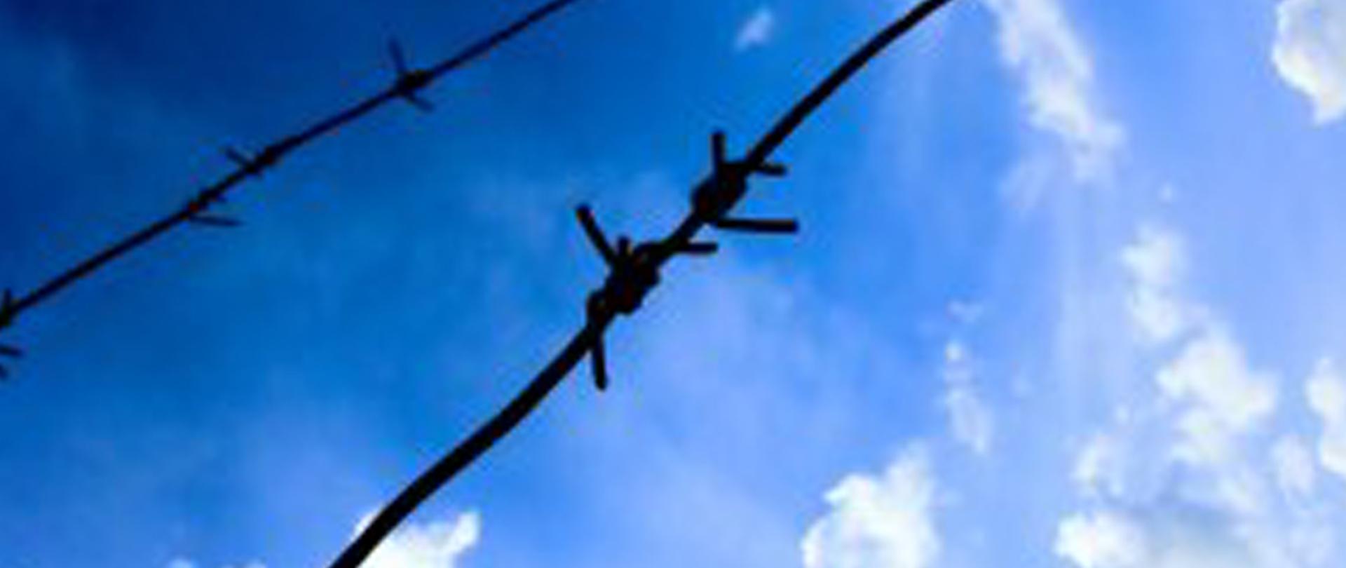 Na zdjęciu: drut kolczasty