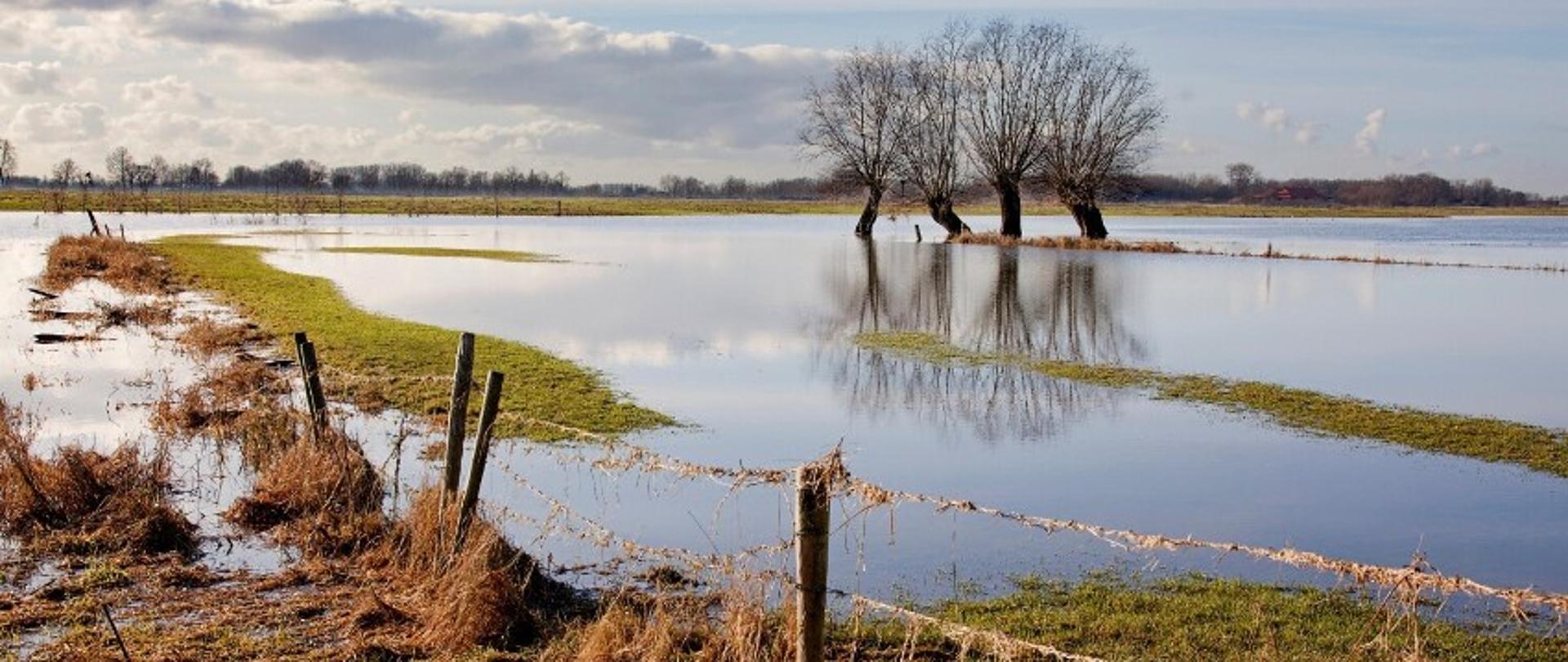 Zdjęcie przedstawia zalane pole uprawne.