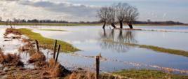 Zdjęcie przedstawia zalane pole uprawne.