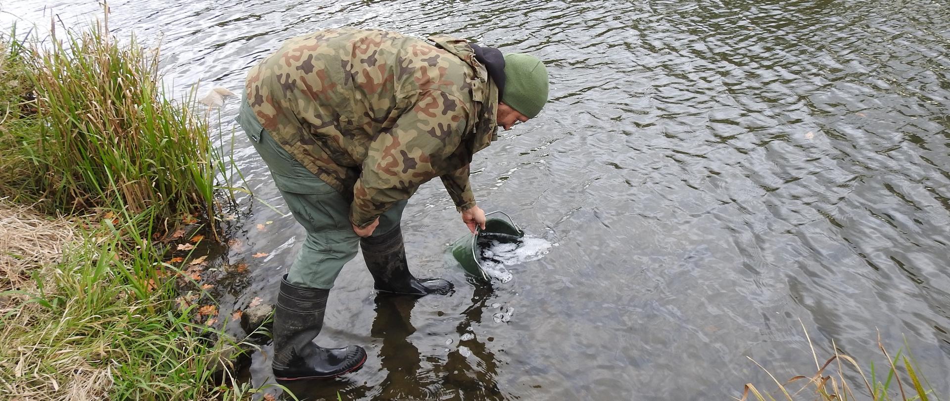 Jesienne zarybienia na terenie RZGW we Wrocławiu. 